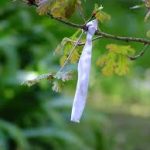 tree-and-white-ribbone
